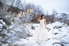 Bridal Photography in Utah by Lucy L Photography LLC Bridal Photography in Utah by Lucy L Photography LLC
