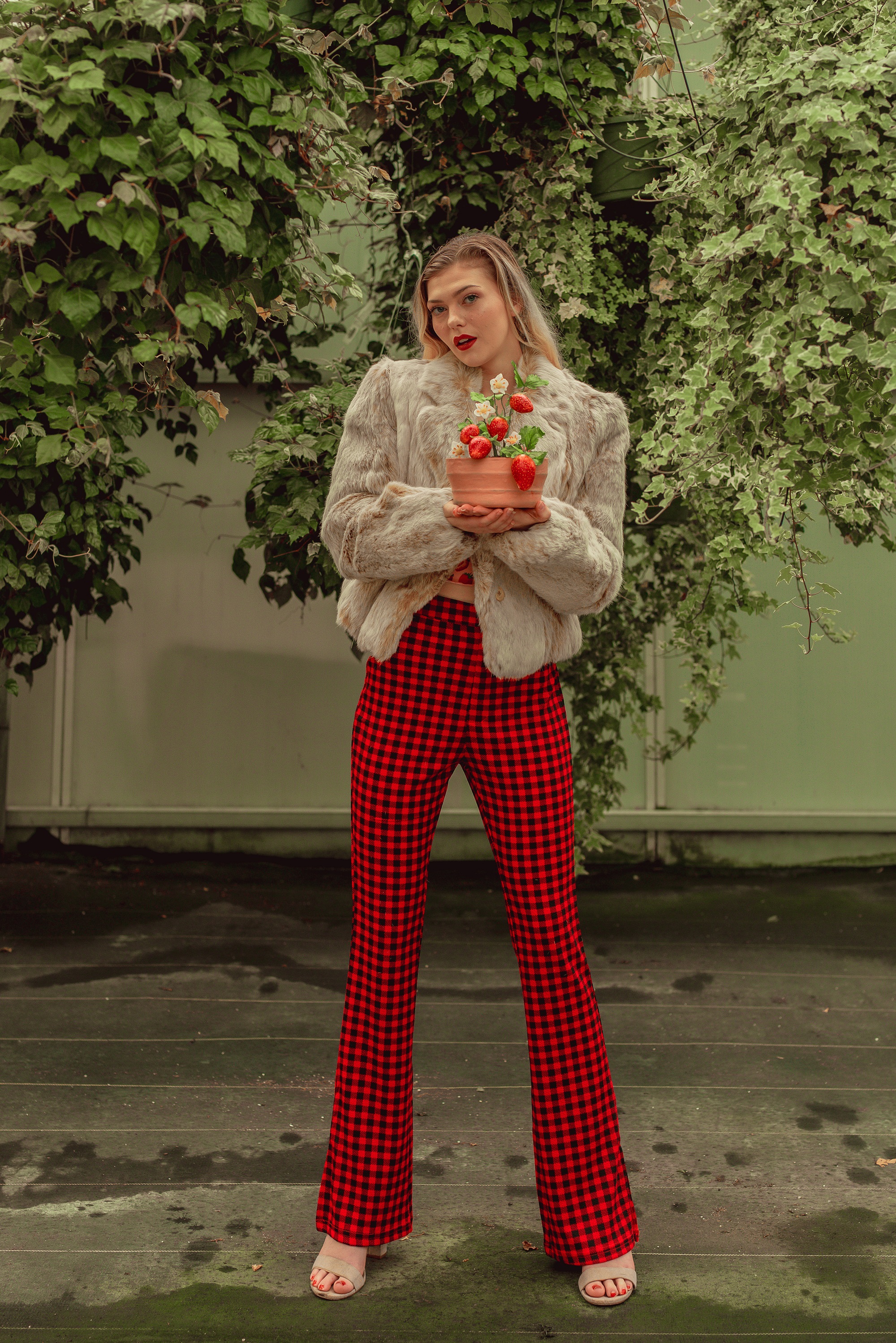 Red and Black Checkered, Flare Pants - Lucy L Photography LLC- Utah & Las  Vegas Photographer